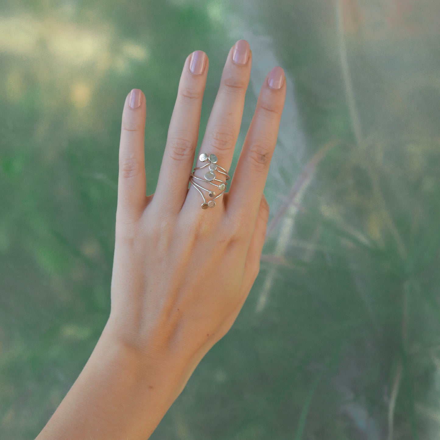 Ring _ Armillaria