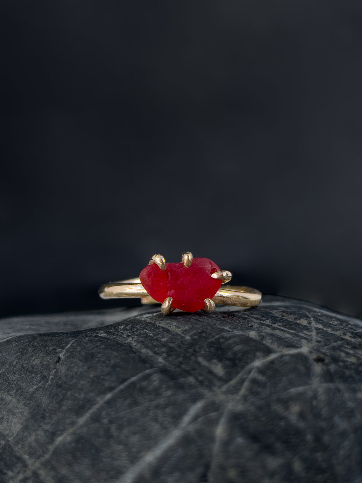 Ring _ Tide
