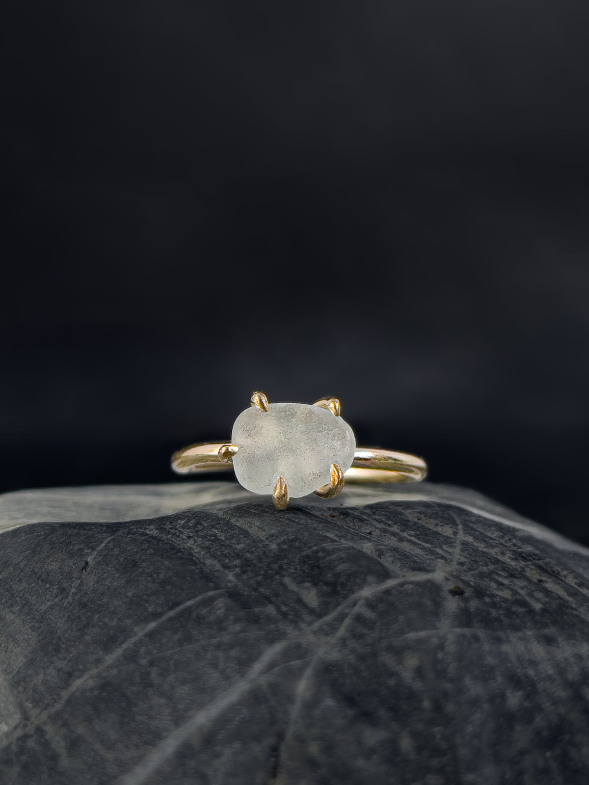 Ring _ Tide