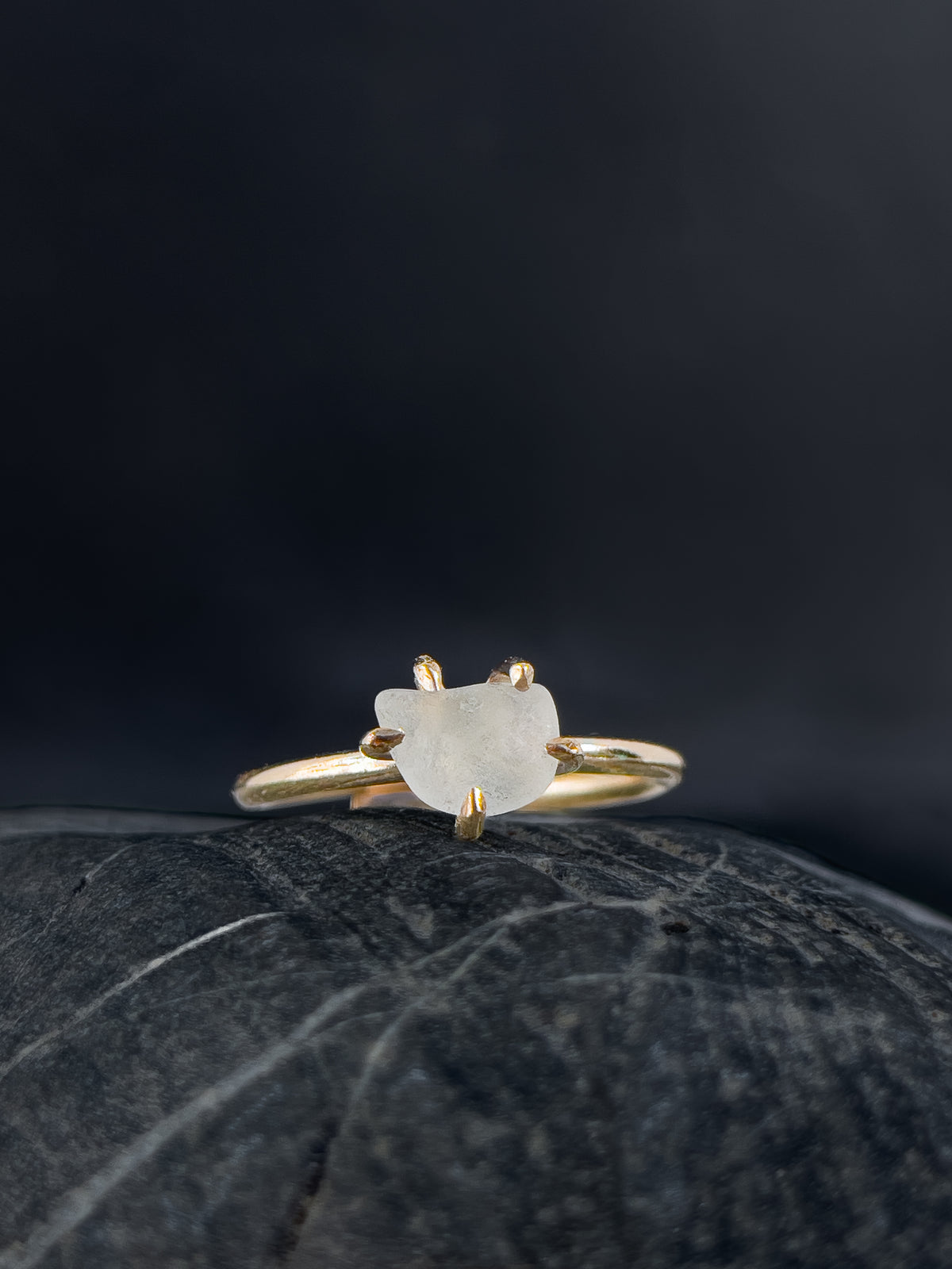 Ring _ Tide