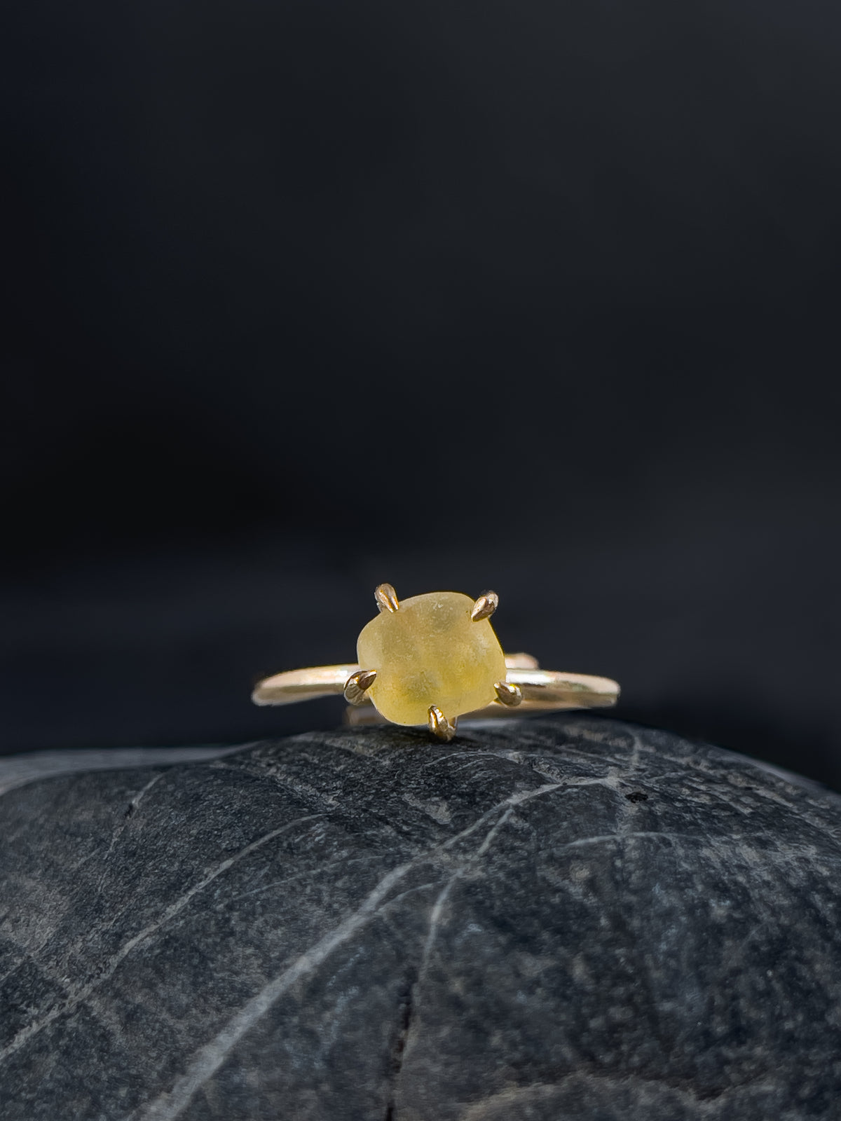Ring _ Tide