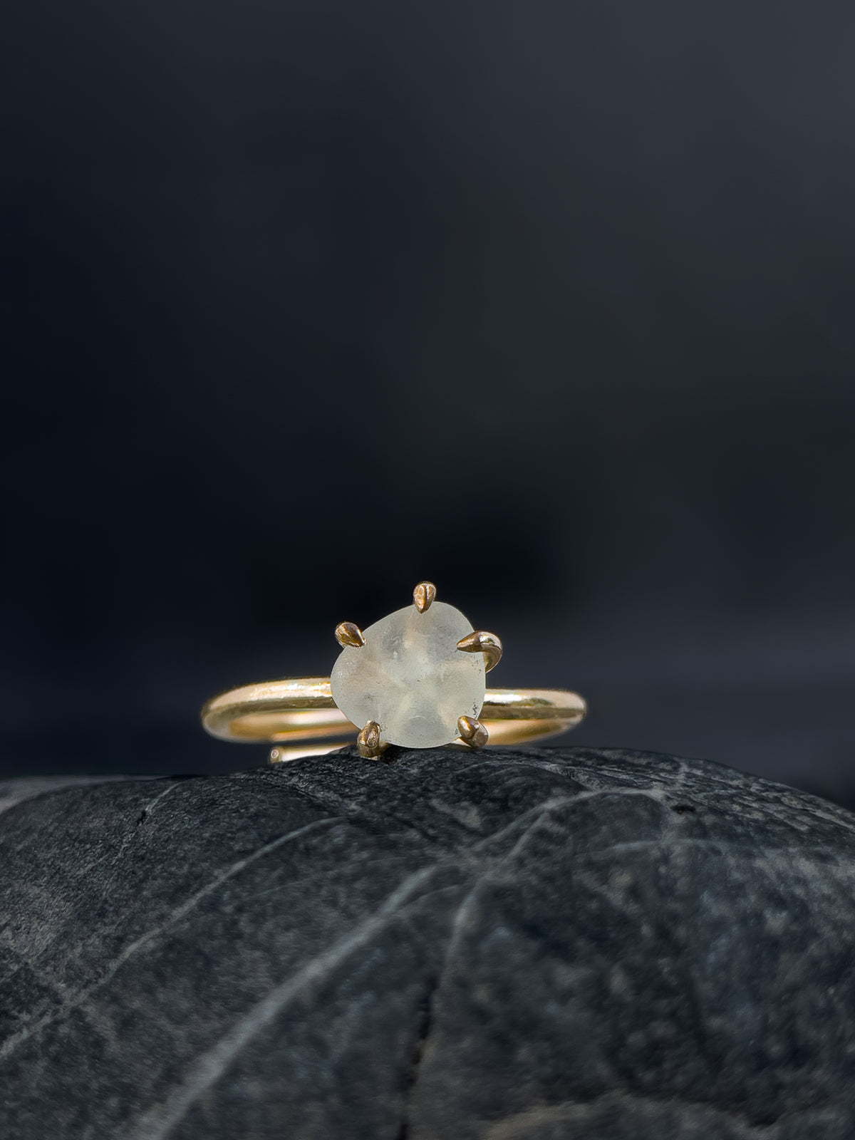 Ring _ Tide