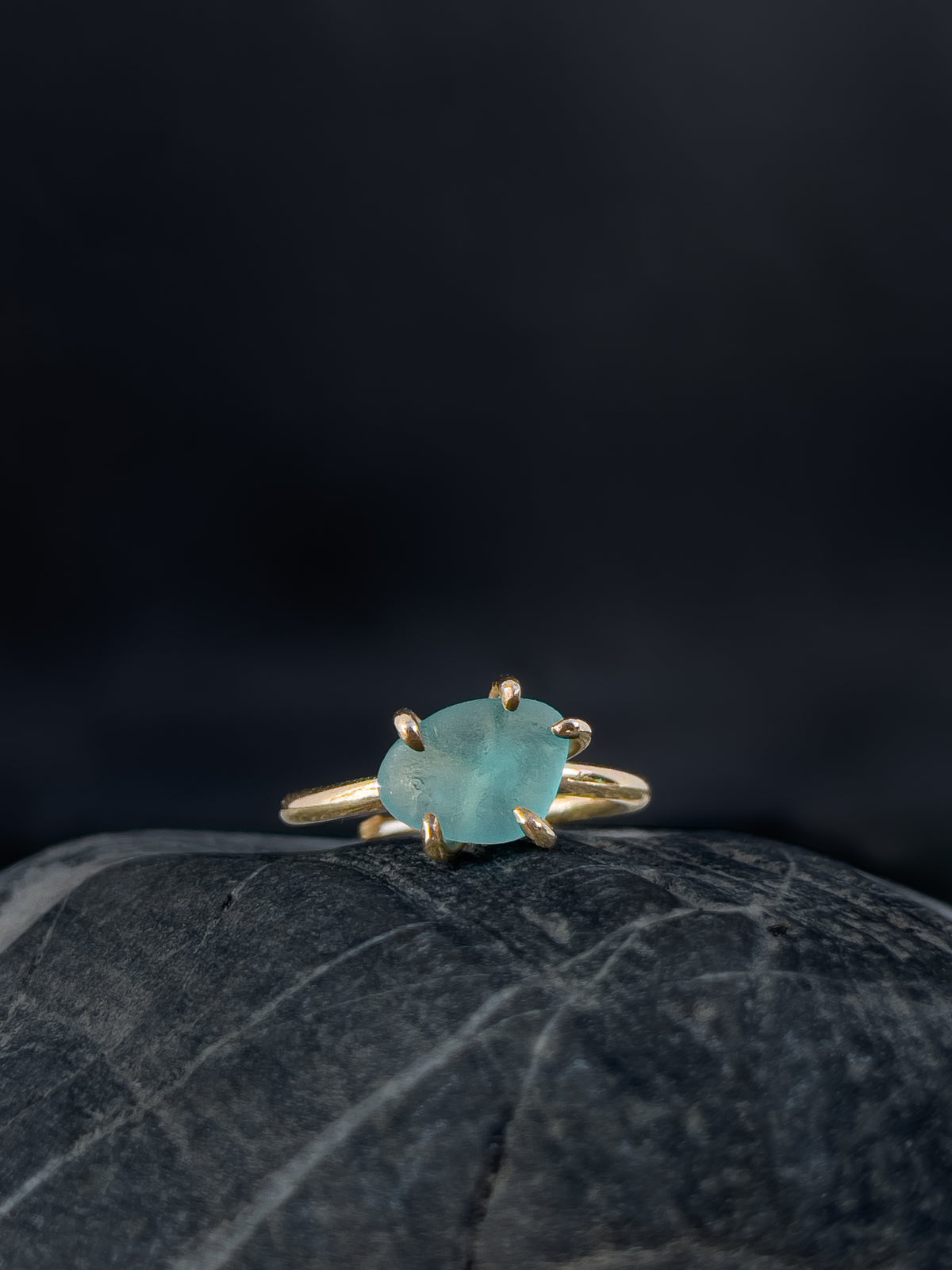 Ring _ Tide