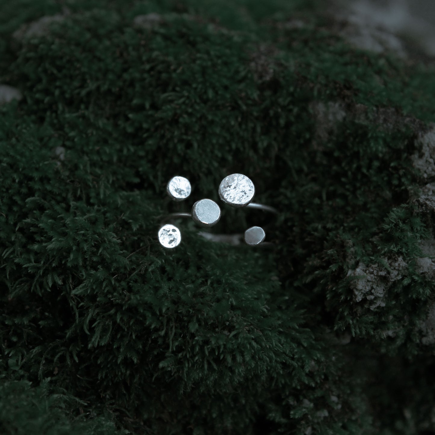Ring _ Armillaria