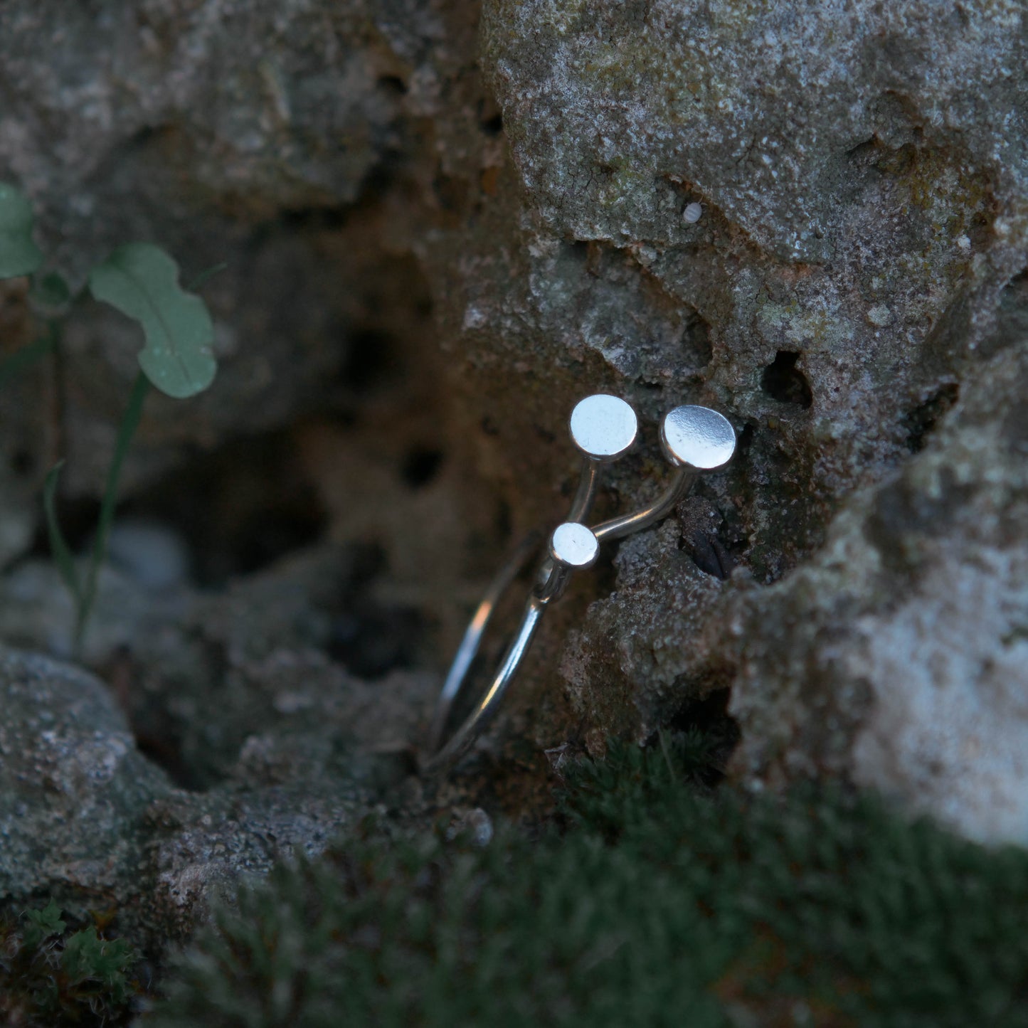 Anello _ Mycena