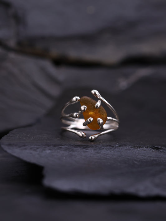Ring _ Tide
