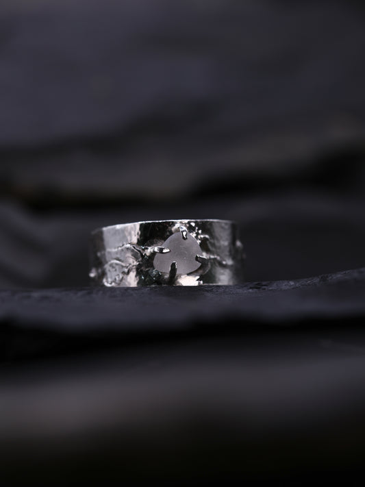 Ring _ Tide