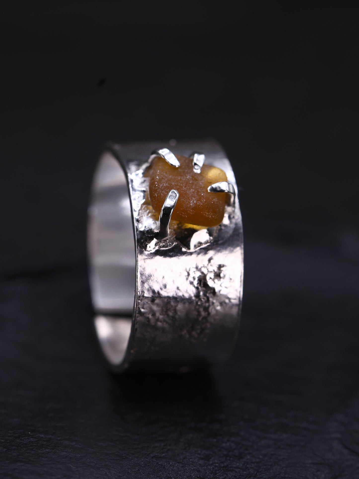 Ring _ Tide
