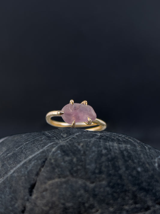 Ring _ Tide