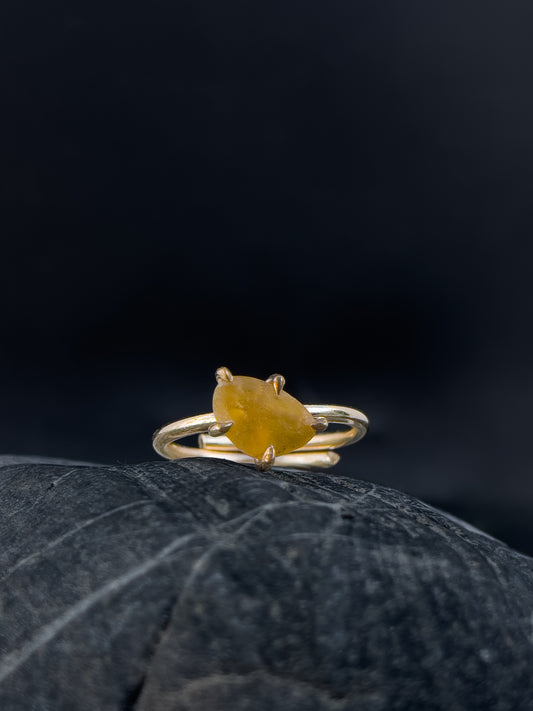 Ring _ Tide