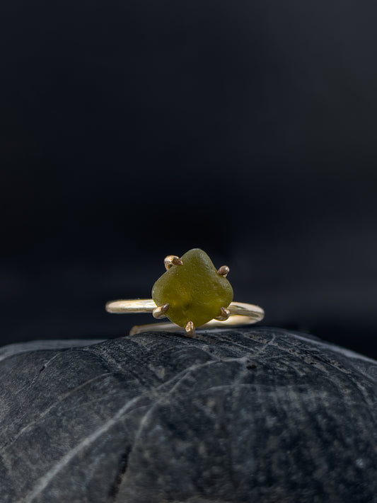 Ring _ Tide