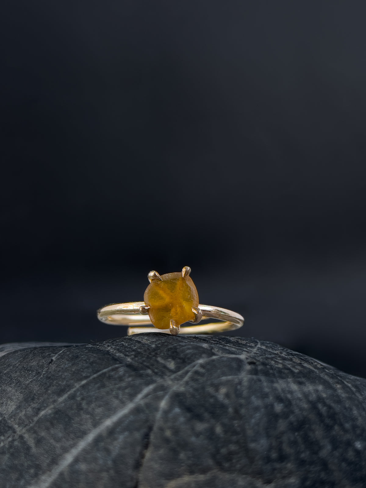 Ring _ Tide