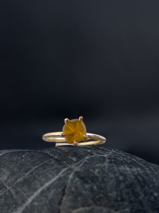 Ring _ Tide
