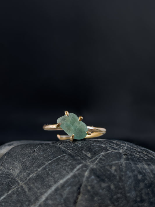 Ring _ Tide