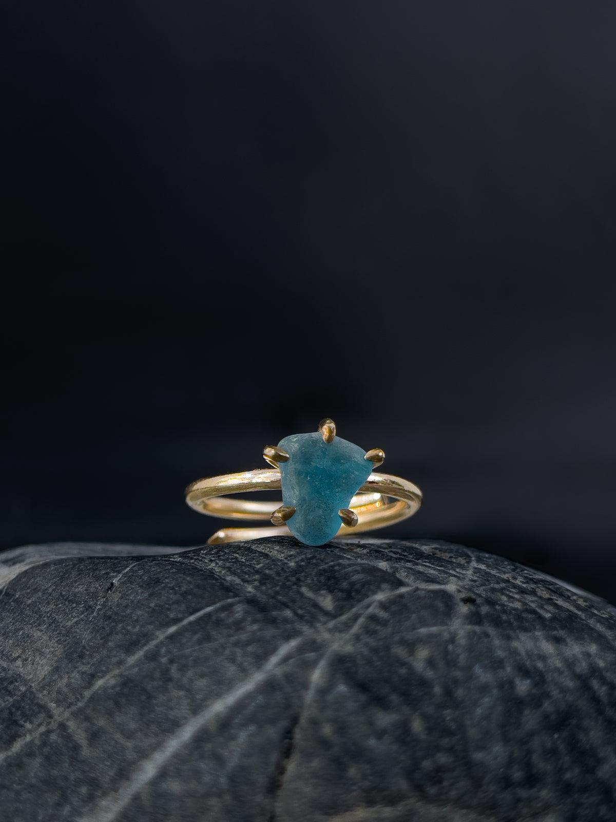 Ring _ Tide