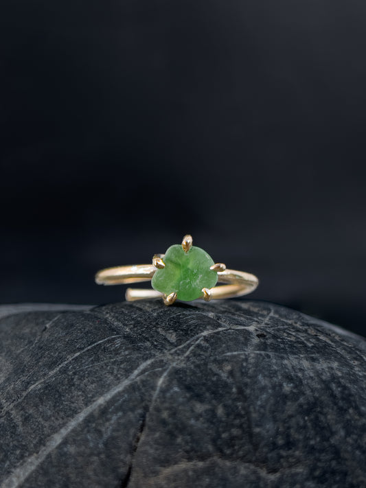 Ring _ Tide