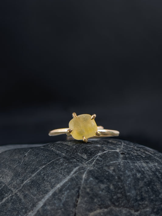 Ring _ Tide