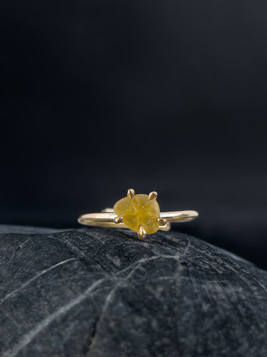 Ring _ Tide