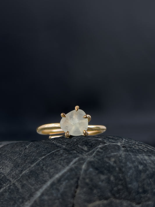 Ring _ Tide